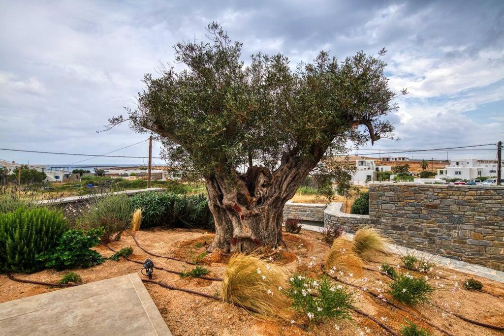 Grand Villa Reve Naousa  Exterior foto
