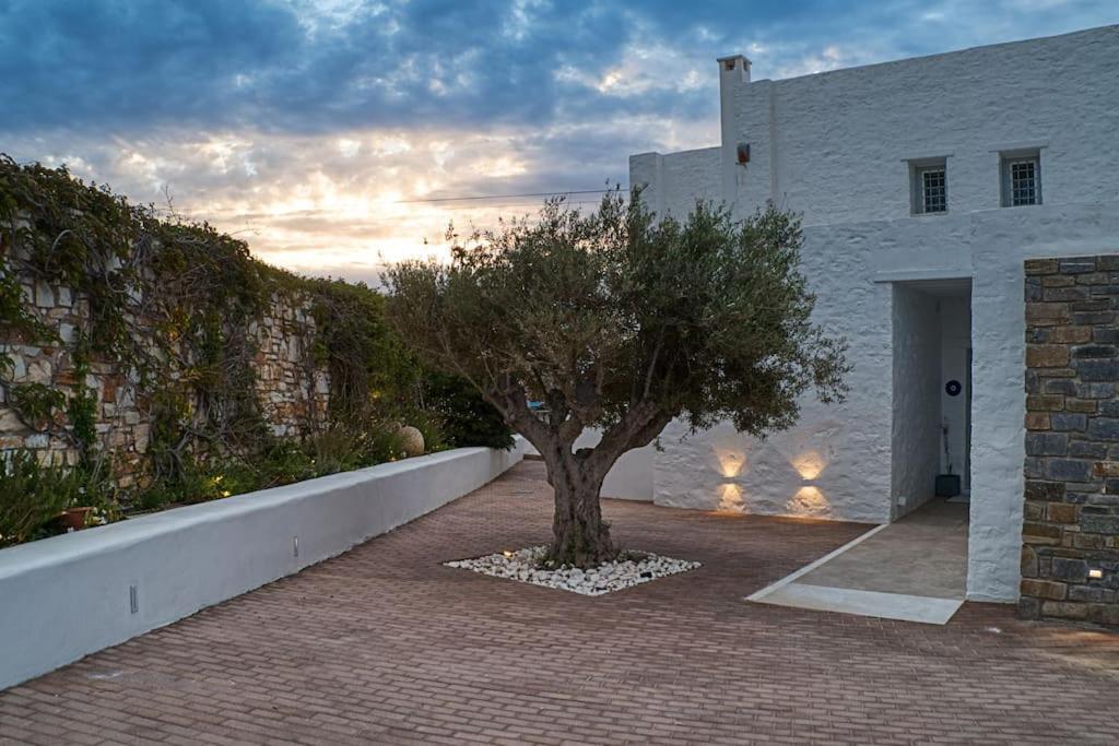 Grand Villa Reve Naousa  Exterior foto